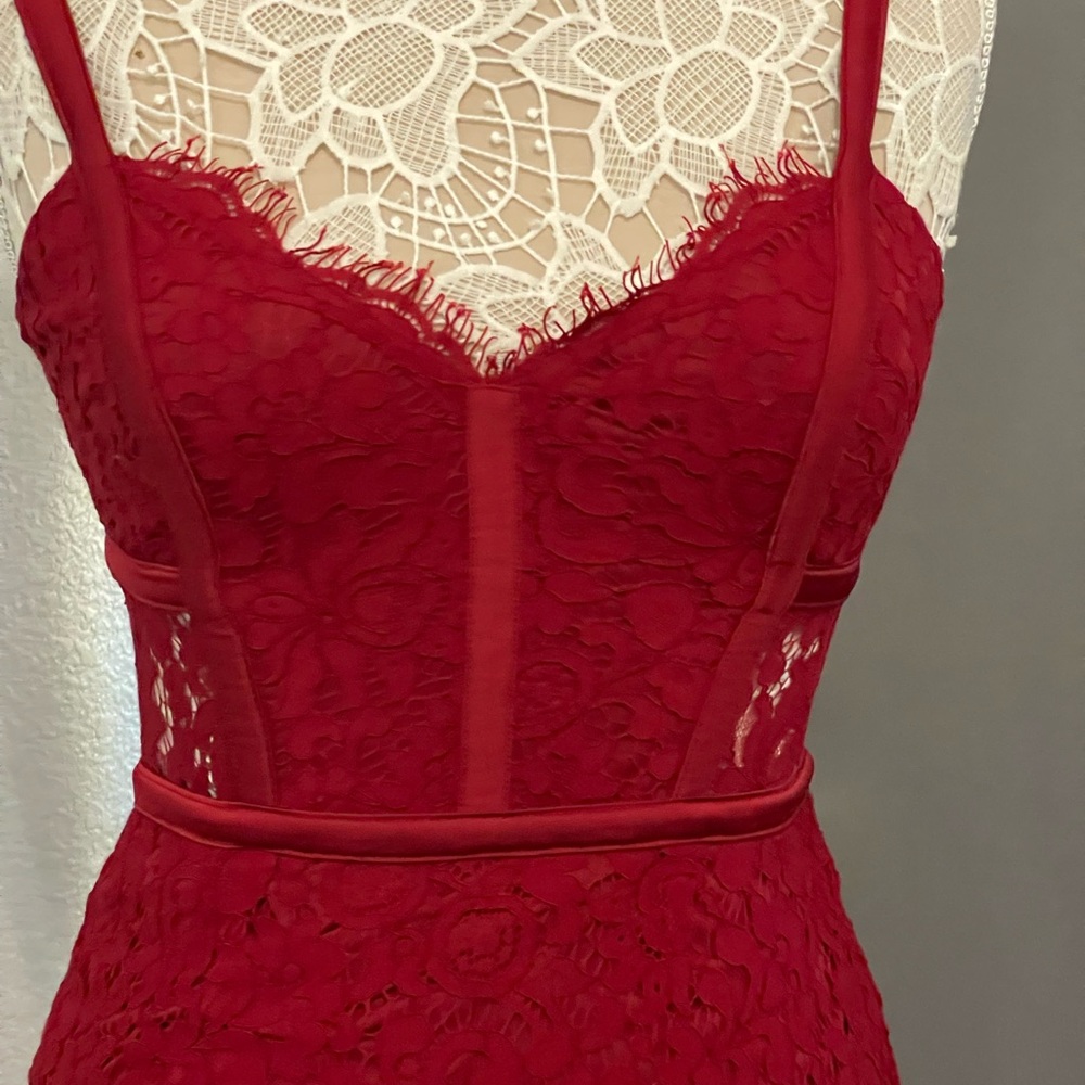 Elegant Burgundy Lace Dress from EXPRESS - Picture 2 of 6